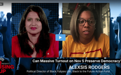 Can Massive Election Turnout Save Democracy?